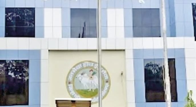 शेतकऱ्यांच्या सर्व गरजांसाठी ‘महाविस्तार AI’ ॲपचा वापर करा : जिल्हा कृषी अधिकारी