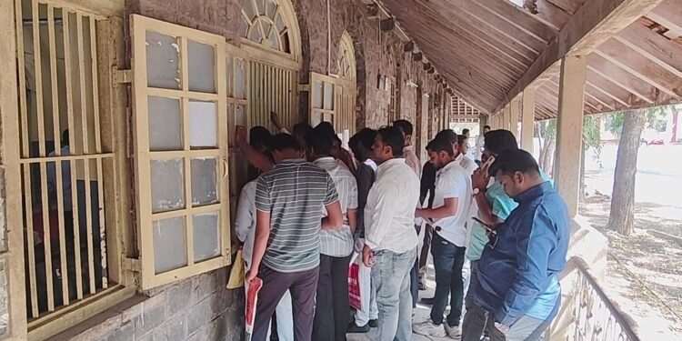 सोलापूर महापालिका निवडणूक : ना-हरकत प्रमाणपत्रांसाठी एक खिडकी;   २३०अर्ज दाखल