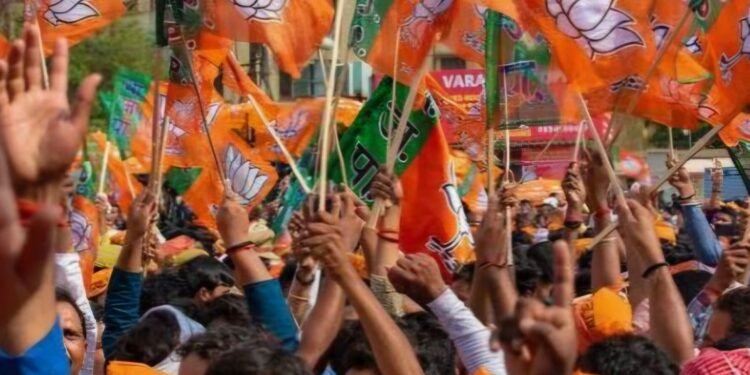 सोलापूर नगर परिषद निवडणूक : भाजपचे फक्त तीन नगराध्यक्ष