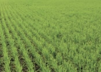 ईपीक पाहणी न झालेल्या शेतकऱ्यांना दिलासा; आता होणार ऑफलाईन नोंद