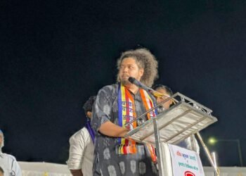 एमआयएमच्या पतंगाची दोर फडणवीसांच्या हातात : सुजात आंबेडकर