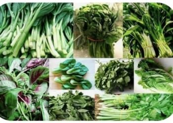 सोलापूर कृषी उत्पन्न बाजार समिती : कांद्याची आवाक  स्थिर; सफरचंदाच्या दरात वाढ