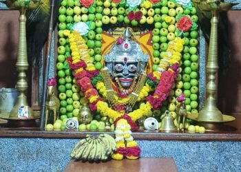 श्री मळसिध्द यात्रा : मंद्रूप येथे  मंगळवारपासून कृषी, पशु प्रदर्शन